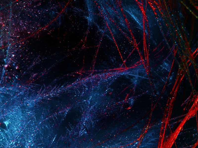 Butterfly Effect Image